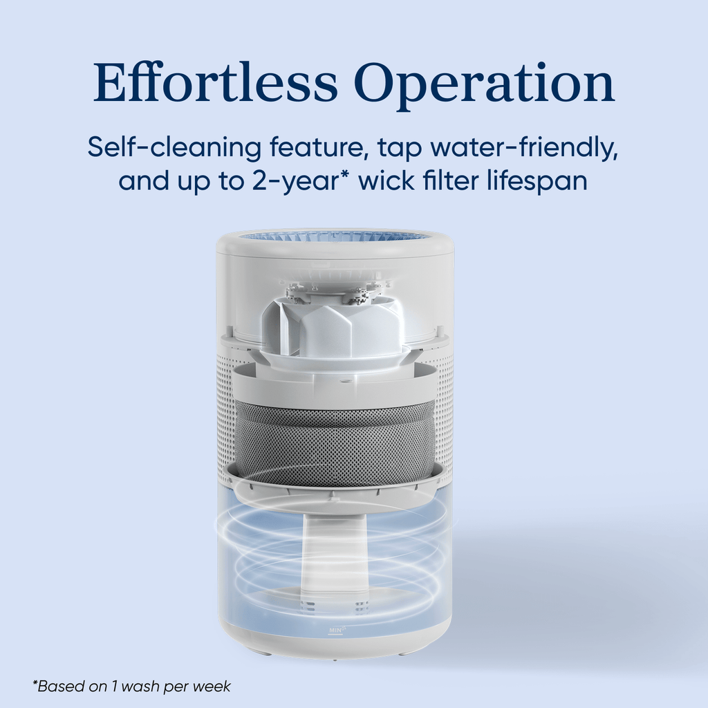 Levoit Superior™ Studio Evaporative Humidifier
