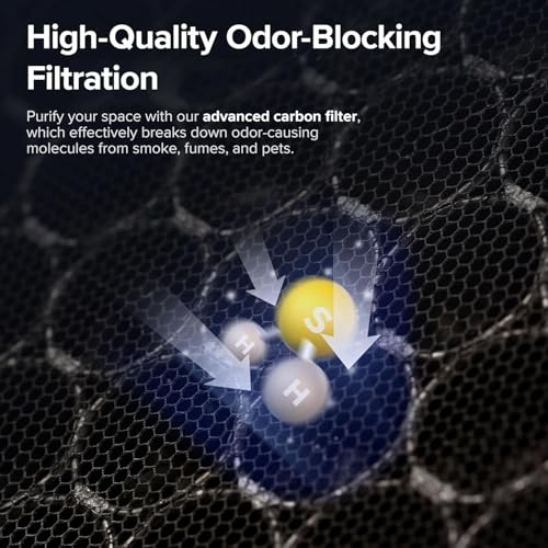 Vital 100S Replacement Filter